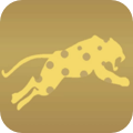 Gold Leopard